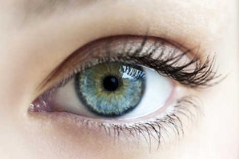 Produkte f�r das Auge
